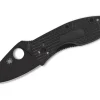 Ambitious Lightweight Black Blade Plainedge|Spyderco Best