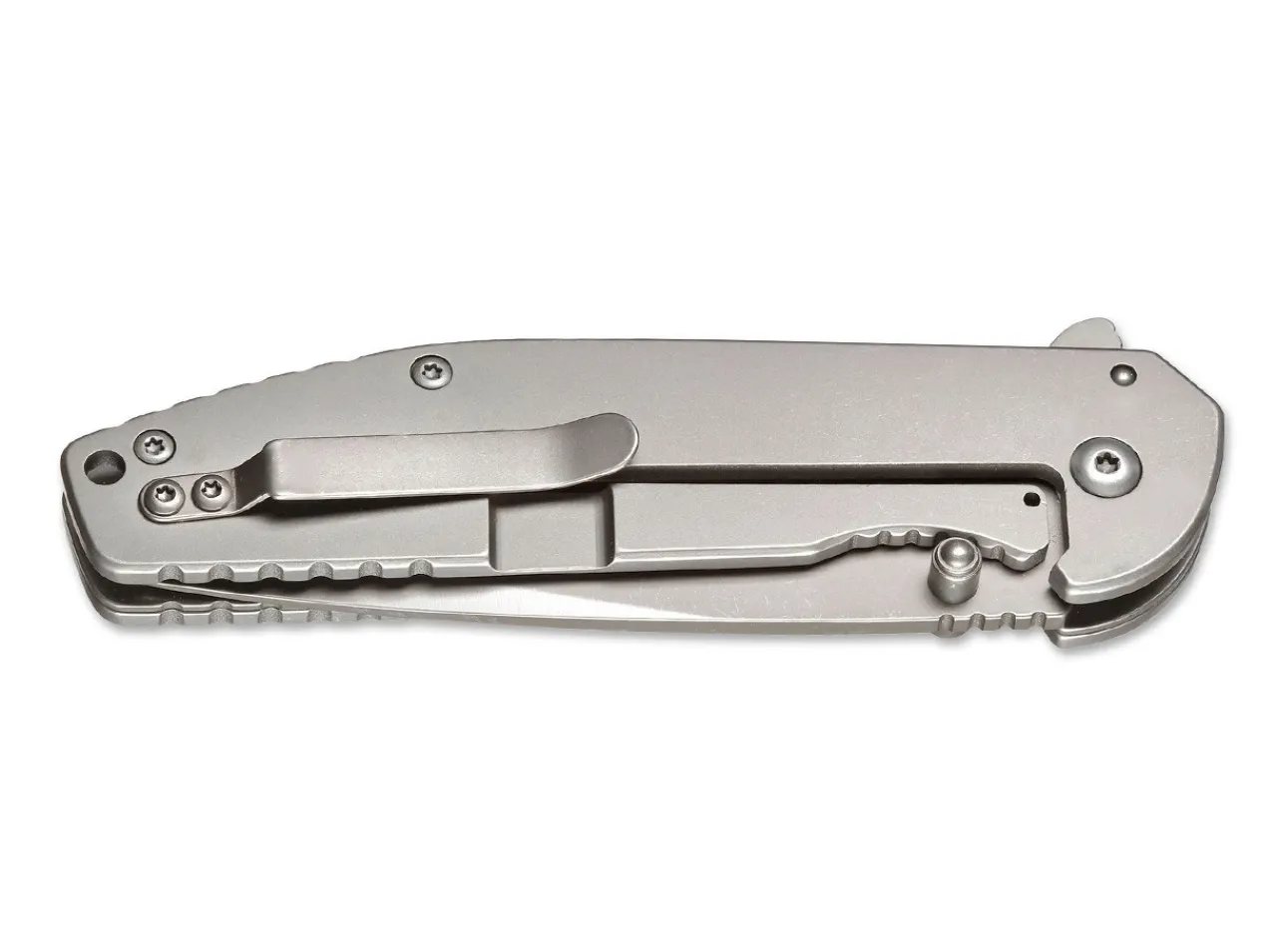 Carbon Frame|Magnum Sale