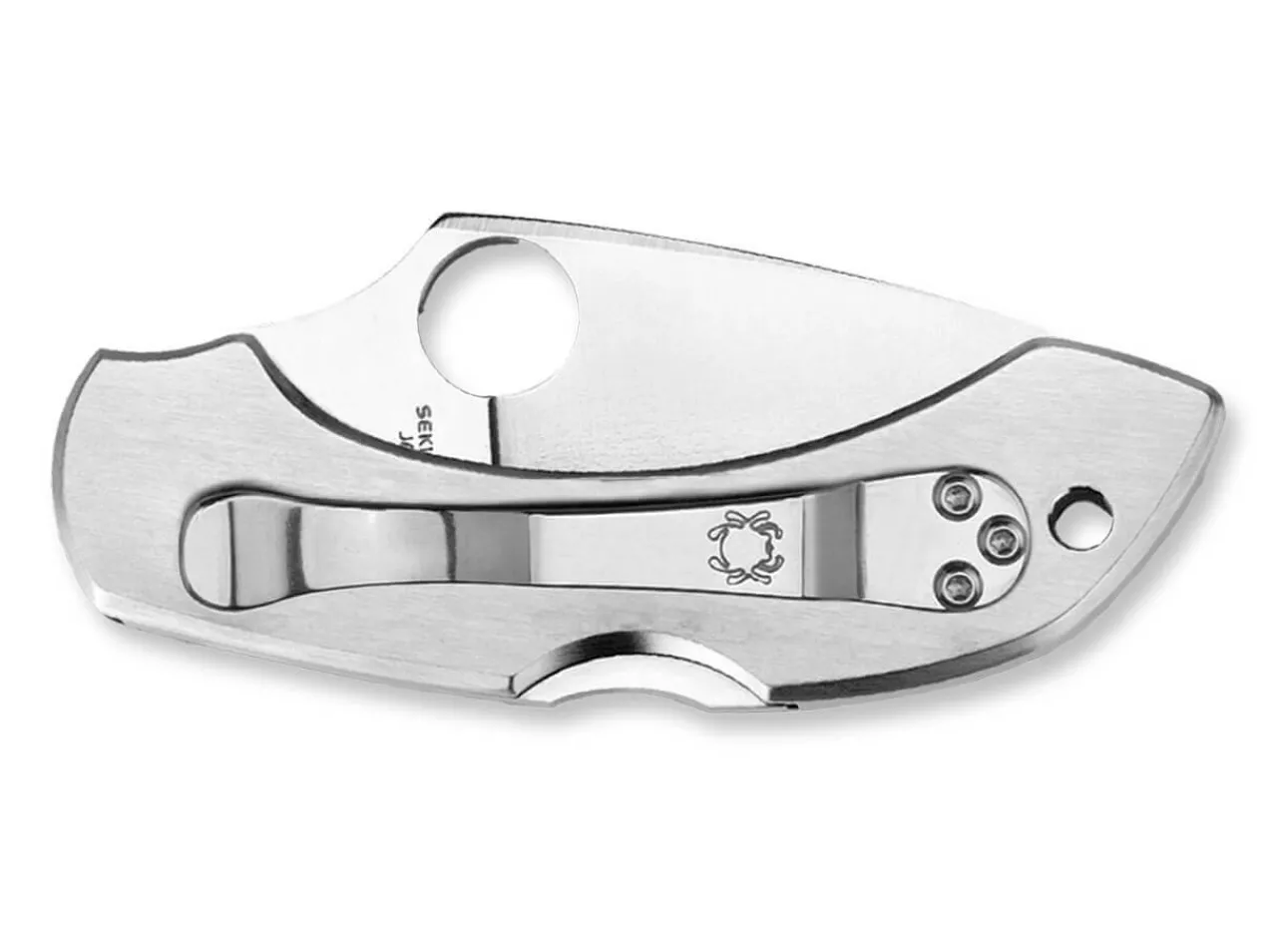 Dragonfly Stainless Steel Plain|Spyderco Discount