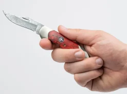 Junior Scout Curly Birch Red Damascus|Böker Manufaktur Solingen Sale
