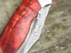 Junior Scout Curly Birch Red Damascus|Böker Manufaktur Solingen Sale
