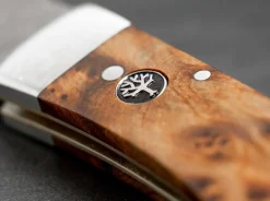 Pocket Thuja Damascus|Böker Manufaktur Solingen Online